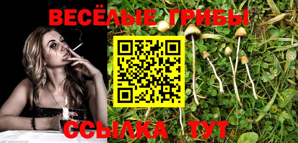Галлюциногенные грибы мицелий Наро-Фоминск