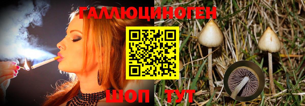 купить закладку  Вход с VPN  Наро-Фоминск  Псилоцибиновые грибы Cubensis 